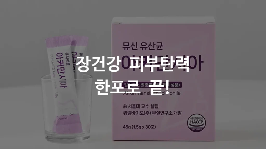 큐시락토 아커만시아 이너뷰티