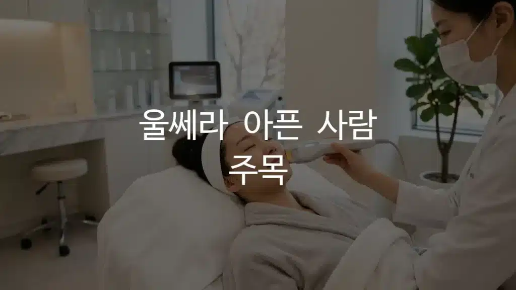 엑시온 리프팅이란? 원리 효과 대상 한 번에 정리